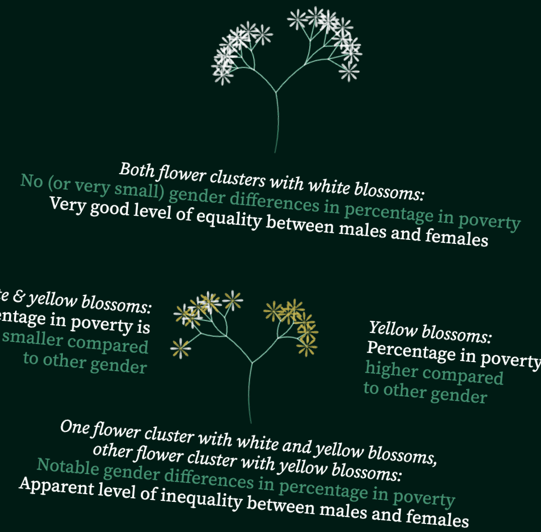 Blooming legend zoom rotated