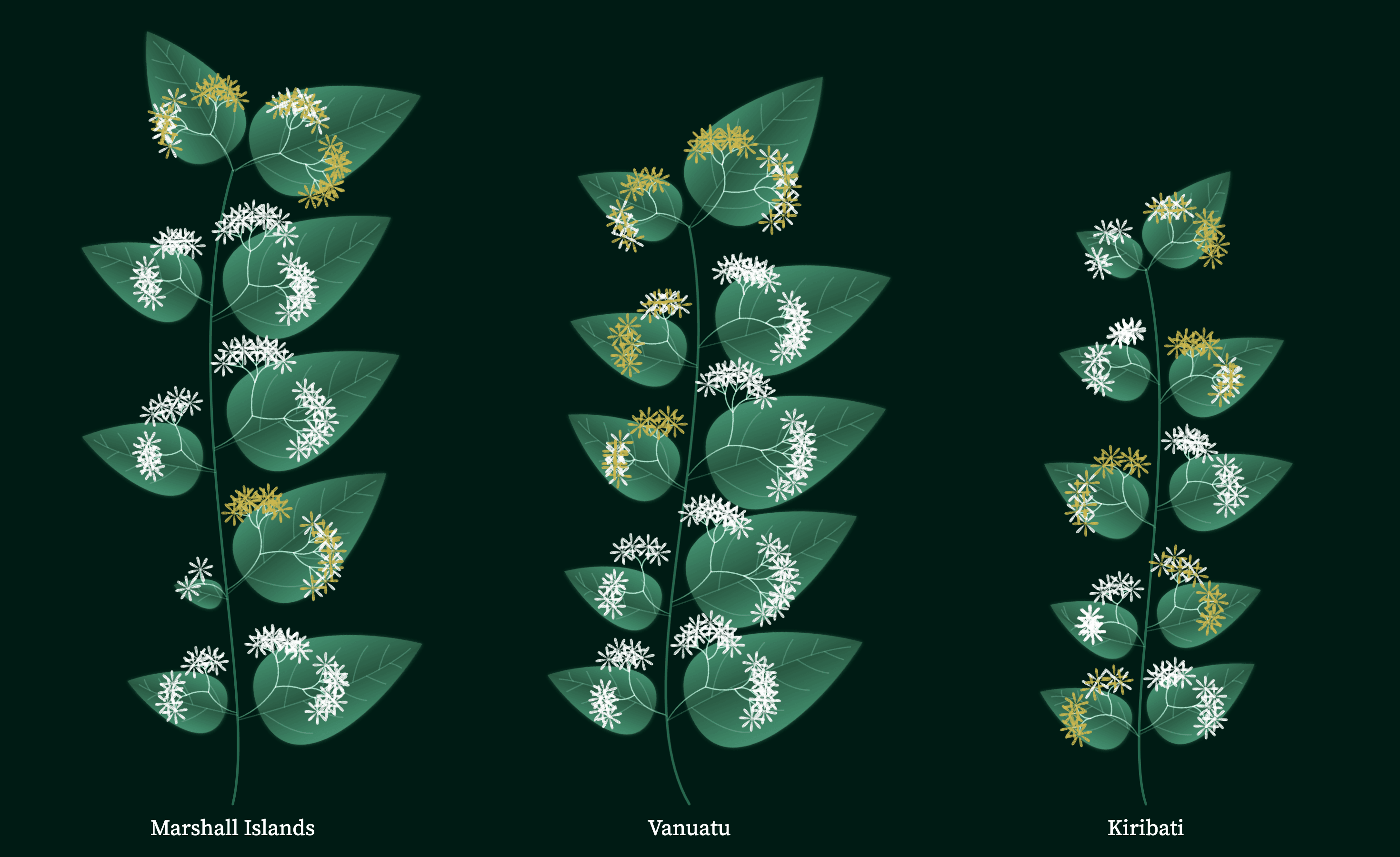 Blooming Hero Rectangle three plants